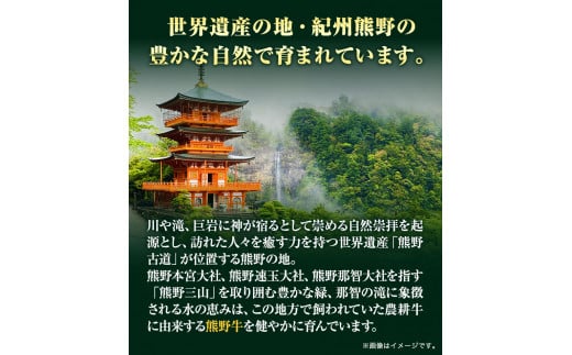 【和歌山県のブランド牛】熊野牛 ロースステーキ 200g×2枚  厳選館《90日以内に出荷予定(土日祝除く)》 和歌山県 日高川町 熊野牛 牛 うし ロース ステーキ