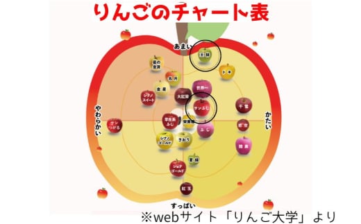 【2月発送】家庭用 サンふじ・王林詰め合わせ 約5kg【青森りんご】