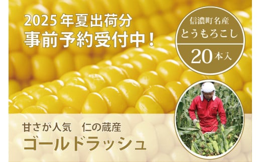 トウモロコシの名産地、信濃町で栽培されたトウモロコシ【ゴールドラッシュ】を20本お届けします。