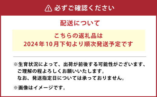 大玉 アールスメロン 4L （2kg以上） 2個入り