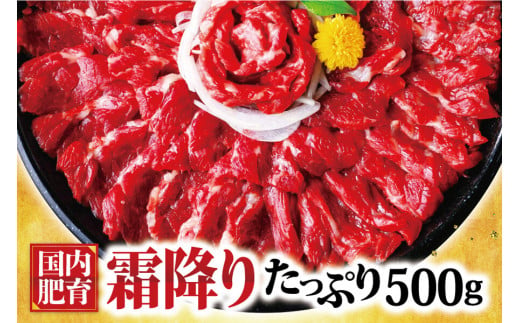 熊本馬刺し 霜降り たっぷり約500g(約50g×10パック)専用醤油付き