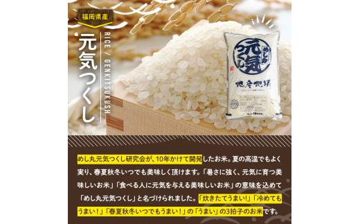 果物屋さんが選んだ米「元気つくし」(5kg×2袋・計10kg)お米 白米 10キロ ごはん ご飯 常温 常温保存【ksg0167】【南国フルーツ】