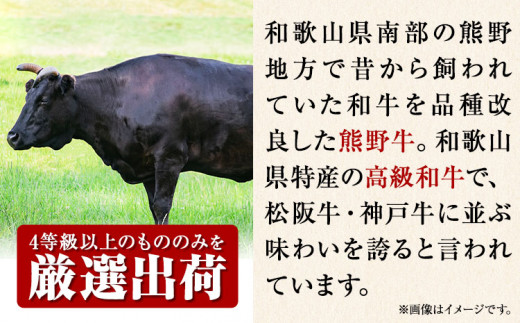 和歌山産 高級和牛 熊野牛 ロースしゃぶしゃぶ用 約700g エバグリーン《30日以内に出荷予定(土日祝除く)》 和歌山県 日高町 牛 うし 牛肉 熊野牛 和牛 高級