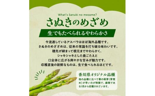 アスパラガス 食べ比べ ( 紫 アスパラガス 500g と さぬきのめざめ 500g ) 約1kg 【2024-6月上旬～2024-10月中旬配送】