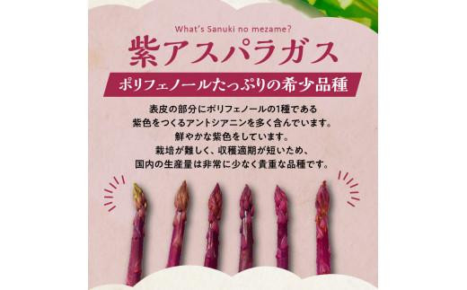 アスパラガス 食べ比べ ( 紫 アスパラガス 500g と さぬきのめざめ 500g ) 約1kg 【2024-6月上旬～2024-10月中旬配送】