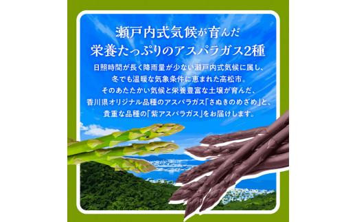 アスパラガス 食べ比べ ( 紫 アスパラガス 500g と さぬきのめざめ 500g ) 約1kg 【2024-6月上旬～2024-10月中旬配送】