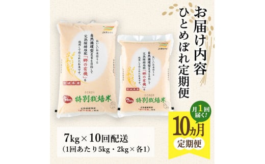 ＜10か月定期便＞特別栽培米 ひとめぼれ 7kg×10回 (全70kg) お米 おこめ 米 コメ 白米 ご飯 ごはん おにぎり お弁当 有機質肥料 頒布会【JA新みやぎ】ta226