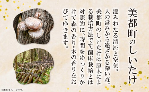 空気のきれいな森で静かに育ち、菌床しいたけにはない森の香りと木の香りがしみついた椎茸です(^^)/