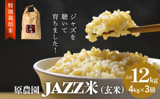 原農園 JAZZ米 (玄米) ４kg ３回定期便 JAZZ米 JAZZ 玄米 原農園 米 銘柄米 きりかぶ山 水 肥料 有機質肥料 特別栽培米 抗酸化農法 光合成細菌 堆肥 アートテン農法 有効微生物農法 健康 食品 完熟堆肥