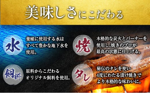 【2025年1月31日受付終了】＜数量限定＞うなぎ 定期便 国産 鰻 蒲焼 2尾セット 隔月定期便（2025年2月,4月,6月お届け）全3回 合計1kg以上 魚介 贈答品 ギフト ウナギ 期間限定 鰻楽【E192-25】