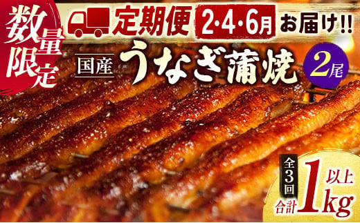 【2025年1月31日受付終了】＜数量限定＞うなぎ 定期便 国産 鰻 蒲焼 2尾セット 隔月定期便（2025年2月,4月,6月お届け）全3回 合計1kg以上 魚介 贈答品 ギフト ウナギ 期間限定 鰻楽【E192-25】