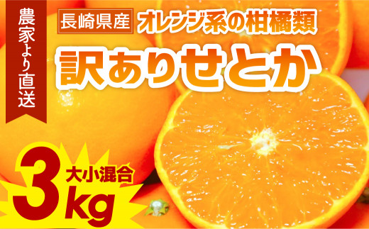 訳あり ご家庭用 長崎県産 せとか みかん 約3kg 2023年2月下旬より順次発送