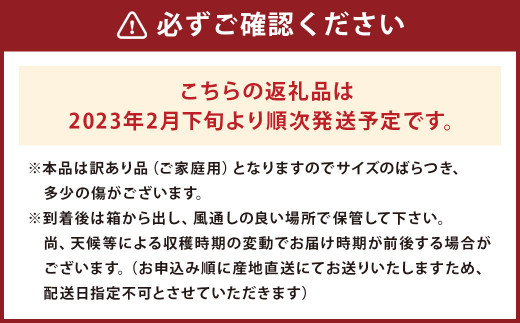 訳あり ご家庭用 長崎県産 せとか みかん 約3kg 2023年2月下旬より順次発送