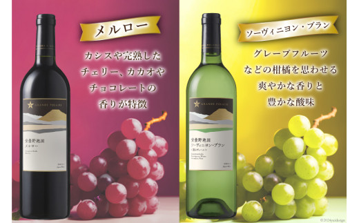 3回 定期便 ワイン セット サッポロ グランポレール 安曇野池田ヴィンヤード 6種 各750ml 総計18本 飲み比べ [池田町ハーブセンター 長野県 池田町 48110630] 赤 白 赤ワイン 白ワイン 辛口 シャルドネ