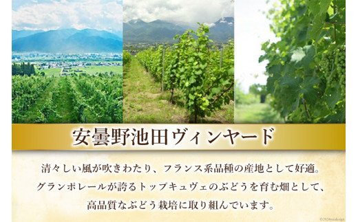 3回 定期便 ワイン セット サッポロ グランポレール 安曇野池田ヴィンヤード 6種 各750ml 総計18本 飲み比べ [池田町ハーブセンター 長野県 池田町 48110630] 赤 白 赤ワイン 白ワイン 辛口 シャルドネ