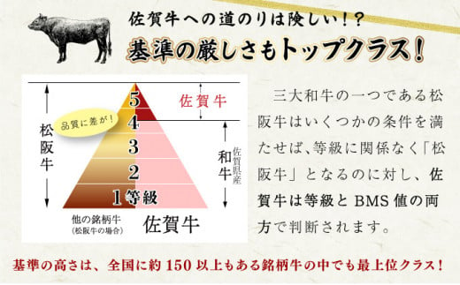 佐賀牛手作りハンバーグ 130g×10個 D-568