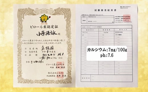 人生100年米（ピロール米） 4kg 令和5年産 【ピロール米 コシヒカリ 化学肥料不使用 農薬不使用】