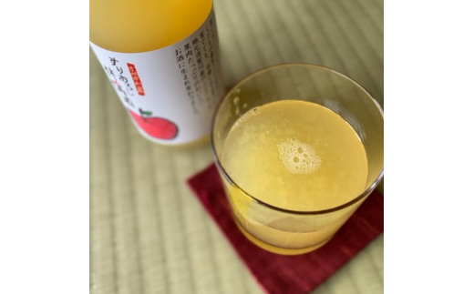 須賀川産すりおろし林檎酒 500ml×2本【1456631】