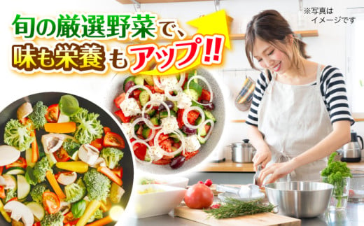 野菜セット 贈答 ギフト 特産品 産地直送 取り寄せ お取り寄せ 送料無料 広島 三次 13000円