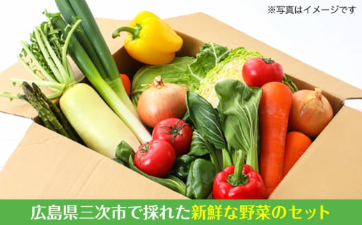 野菜セット 贈答 ギフト 特産品 産地直送 取り寄せ お取り寄せ 送料無料 広島 三次 13000円