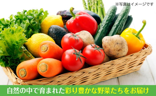 野菜セット 贈答 ギフト 特産品 産地直送 取り寄せ お取り寄せ 送料無料 広島 三次 13000円