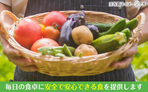 調理長厳選！農夫のお野菜セット 詰め合わせ 旬の野菜 盛り合わせ 野菜セット 三次市/株式会社 布野特産センター[APBA001] 