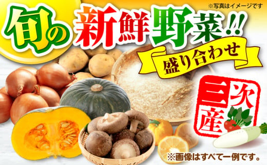 野菜セット 贈答 ギフト 特産品 産地直送 取り寄せ お取り寄せ 送料無料 広島 三次 13000円