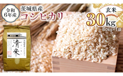 令和6年産 茨城県産 玄米 コシヒカリ 30kg（30kg×1袋） 新米 清米 キヨシマイ こしひかり 米 コメ こめ 単一米 限定 茨城県産 国産 美味しい お米 おこめ おコメ