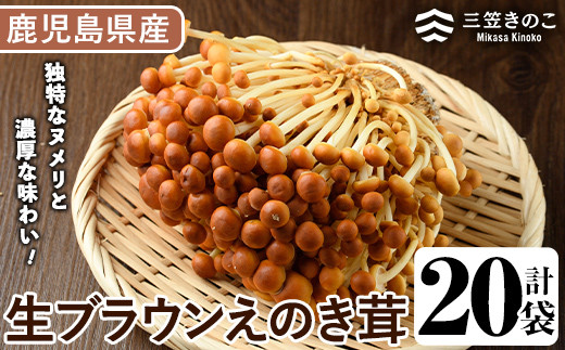 生ブラウンえのき茸(20袋・計3.6kg)国産 エノキ きのこ 茸 キノコ 個包装【三笠えのき茸生産組合】a-12-220-z