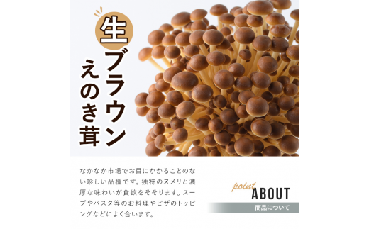 生ブラウンえのき茸(20袋・計3.6kg)国産 エノキ きのこ 茸 キノコ 個包装【三笠えのき茸生産組合】a-12-220-z