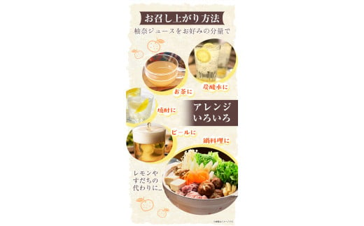 木屋平特産ゆず「柚奈」果汁100％ 500ml×3本 《30日以内に出荷予定(土日祝除く)》株式会社Surfrider(松家農園) 徳島県 美馬市 特産 柚子 ゆず 柚奈 ジュース 果汁100% 送料無料