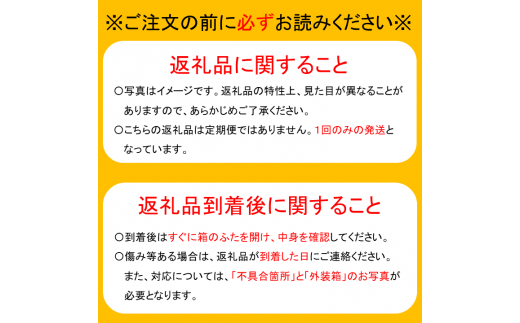 【贈答用】果汁たっぷり船橋の極上梨「新高」5kg 6～8玉 期間限定 特大級 船橋のなし 千葉県産 船橋市産 おすすめ エコチョク 2024年