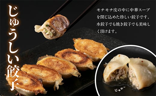 【定期便】4ヵ月連続 餃子工房いろどり食べ比べセット 冷凍生餃子 ぎょうざ ギョウザ 惣菜 F4H-0215