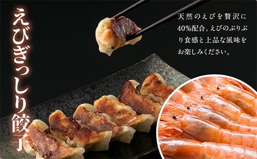 【定期便】4ヵ月連続 餃子工房いろどり食べ比べセット 冷凍生餃子 ぎょうざ ギョウザ 惣菜 F4H-0215