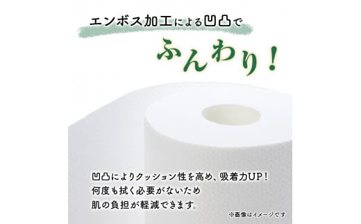 トイレットペーパー バスター 12R ダブル （25ｍ×2枚）×6パック 72個 日用品 消耗品 114mm 柔らかい 無香料 芯 大容量 トイレット トイレ といれっとペーパー ふるさと 納税