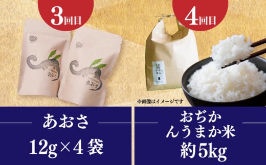 【全6回定期便】 毎月違ったお品が届く！ 小さな島の贈り物 10万円 100,000円 魚醤3本 ドレッシング ピーナッツペースト＆ジンジャーシロップ おぢかんうまか米 落花生 ヒラマサのつけ丼 [DYZ018]