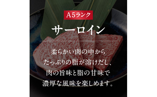 A5ランク 鳥取和牛焼肉食べ比べ 厳選部位4種類 合計400g 牛肉 精肉 肉 カタセイ 上カルビ 食べ比べセット サーロイン 肩ロース ランプ 牛モモ 三角バラ 特上カルビ カルビ 和牛 高級肉 お肉 焼肉