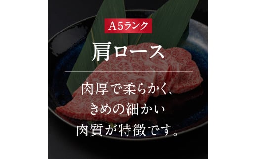 A5ランク 鳥取和牛焼肉食べ比べ 厳選部位4種類 合計400g 牛肉 精肉 肉 カタセイ 上カルビ 食べ比べセット サーロイン 肩ロース ランプ 牛モモ 三角バラ 特上カルビ カルビ 和牛 高級肉 お肉 焼肉