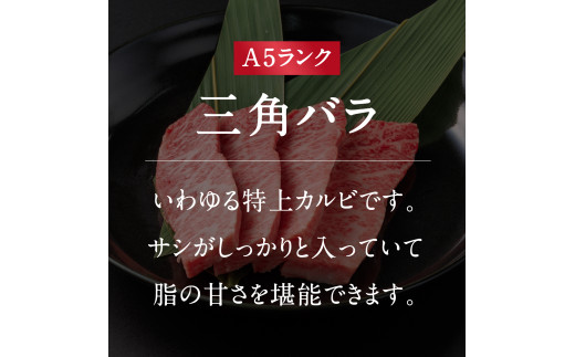 A5ランク 鳥取和牛焼肉食べ比べ 厳選部位4種類 合計400g 牛肉 精肉 肉 カタセイ 上カルビ 食べ比べセット サーロイン 肩ロース ランプ 牛モモ 三角バラ 特上カルビ カルビ 和牛 高級肉 お肉 焼肉