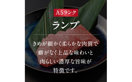 A5ランク 鳥取和牛焼肉食べ比べ 厳選部位4種類 合計400g 牛肉 精肉 肉 カタセイ 上カルビ 食べ比べセット サーロイン 肩ロース ランプ 牛モモ 三角バラ 特上カルビ カルビ 和牛 高級肉 お肉 焼肉