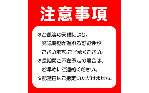 【2025年先行予約】完熟！パッションフルーツ（12個入り）　C065-001-01