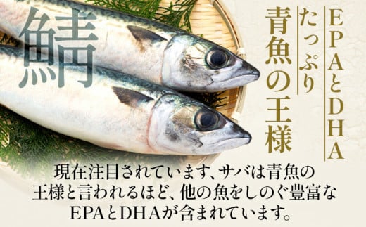 さばそぼろ 1kg (200g×5パック) 九州産 魚介類 惣菜 加工品 そぼろ サバ 鯖 おかず おつまみ 冷凍 送料無料