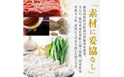 C43018 ＜定期便・全3回＞ 鹿児島県 肝付町産 黒豚 餃子 ギョーザ (1回120個・12個入 10パック) ぎょうざ たれ付き パリパリ もちもち ジューシー おかず 弁当 冷凍 冷凍食品 中華 豚肉 国産【財宝】