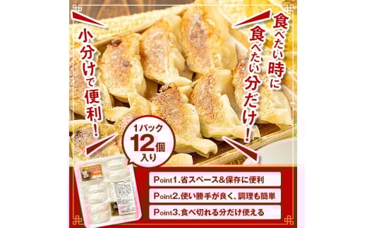 C43018 ＜定期便・全3回＞ 鹿児島県 肝付町産 黒豚 餃子 ギョーザ (1回120個・12個入 10パック) ぎょうざ たれ付き パリパリ もちもち ジューシー おかず 弁当 冷凍 冷凍食品 中華 豚肉 国産【財宝】