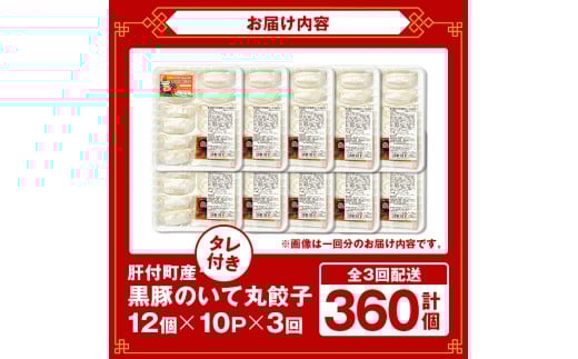 C43018 ＜定期便・全3回＞ 鹿児島県 肝付町産 黒豚 餃子 ギョーザ (1回120個・12個入 10パック) ぎょうざ たれ付き パリパリ もちもち ジューシー おかず 弁当 冷凍 冷凍食品 中華 豚肉 国産【財宝】