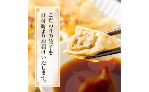 C43018 ＜定期便・全3回＞ 鹿児島県 肝付町産 黒豚 餃子 ギョーザ (1回120個・12個入 10パック) ぎょうざ たれ付き パリパリ もちもち ジューシー おかず 弁当 冷凍 冷凍食品 中華 豚肉 国産【財宝】