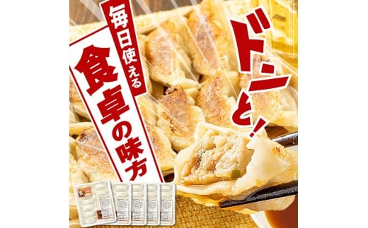 C43018 ＜定期便・全3回＞ 鹿児島県 肝付町産 黒豚 餃子 ギョーザ (1回120個・12個入 10パック) ぎょうざ たれ付き パリパリ もちもち ジューシー おかず 弁当 冷凍 冷凍食品 中華 豚肉 国産【財宝】