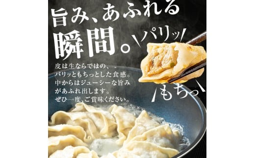 C43018 ＜定期便・全3回＞ 鹿児島県 肝付町産 黒豚 餃子 ギョーザ (1回120個・12個入 10パック) ぎょうざ たれ付き パリパリ もちもち ジューシー おかず 弁当 冷凍 冷凍食品 中華 豚肉 国産【財宝】