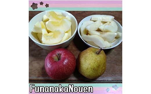 【令和6年産先行予約】 ラ･フランス & 完熟ふじりんご 詰合せ 約5kg (2L～3L) 《令和6年11月上旬～発送》 【全国りんご選手権 銀賞】 『船中農園』 山形県 南陽市 [2176]