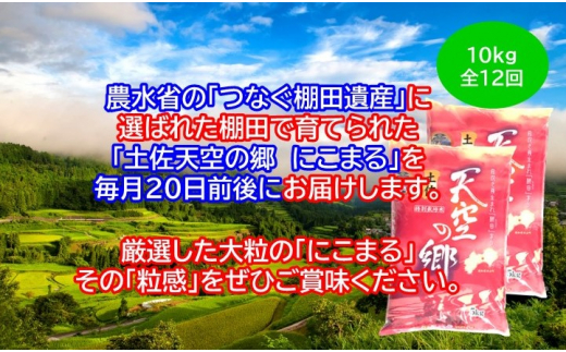 2010年・2016年 お米日本一コンテスト inしずおか 特別最高金賞受賞 土佐天空の郷　にこまる　10kg定期便　毎月お届け全12回